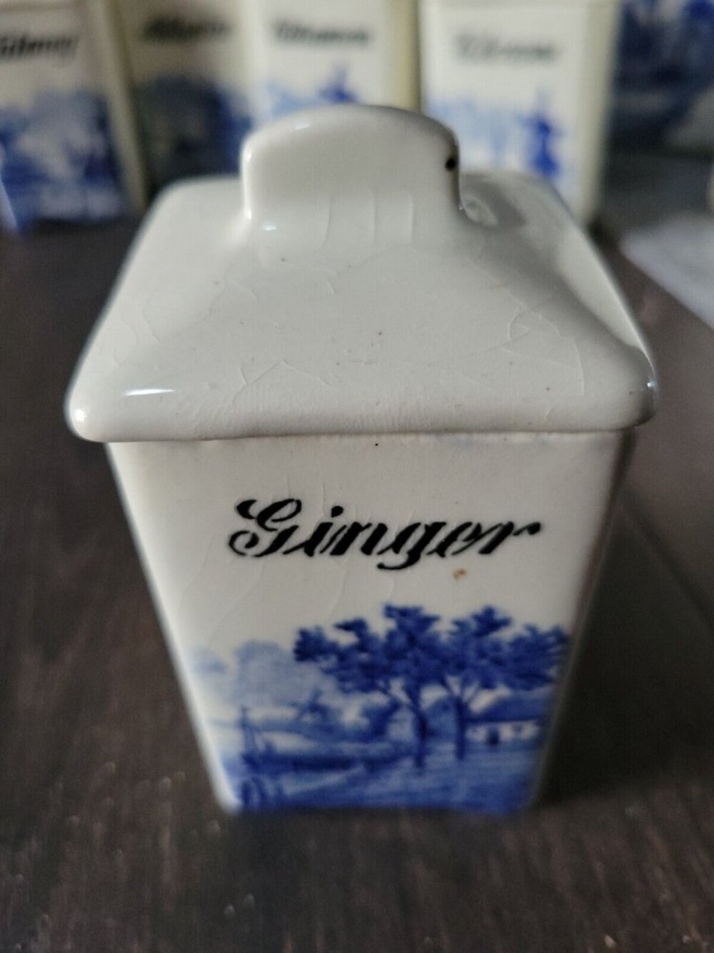 Minerva Porcelain Herb Canister GINGER Blue White Windmill 4.5x2in Vtg Germany